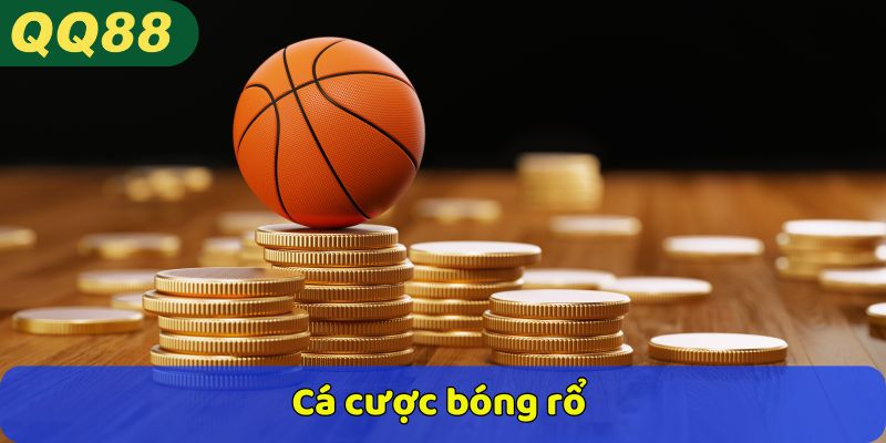 Cá cược bóng rổ 